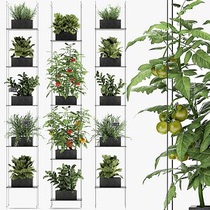 Vertical garden for the kitchen 69