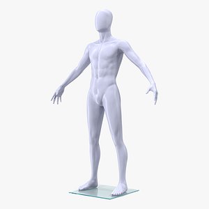 male mannequin man model