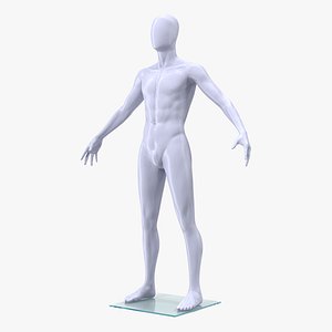 Male Mannequin