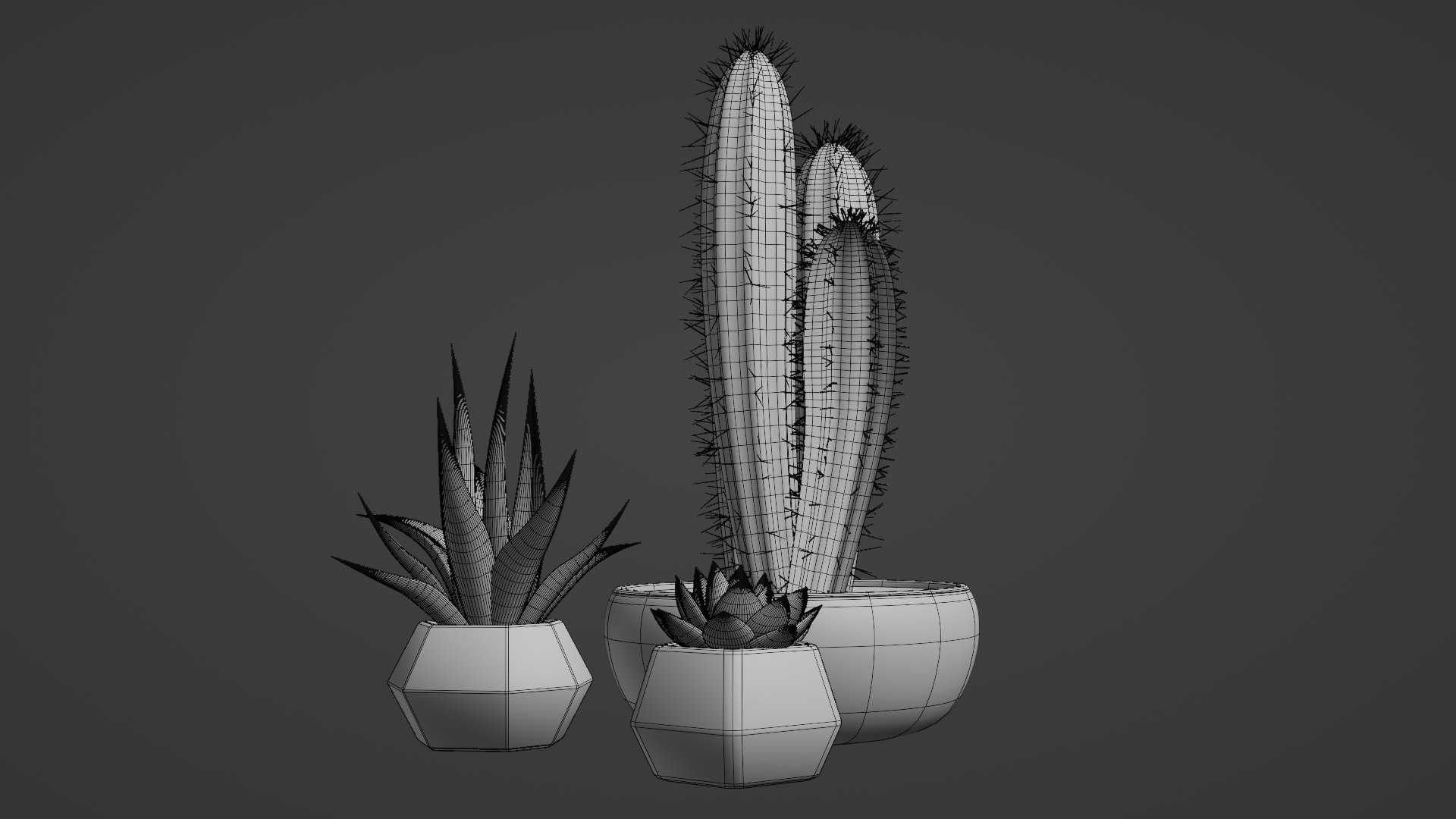 3D Succulent Plant https://p.turbosquid.com/ts-thumb/eB/NCoPrD/IZ/wireframerender/png/1711862261/1920x1080/fit_q87/0b731b23713c70ff2df55a2c6ef4f901eac7553b/wireframerender.jpg