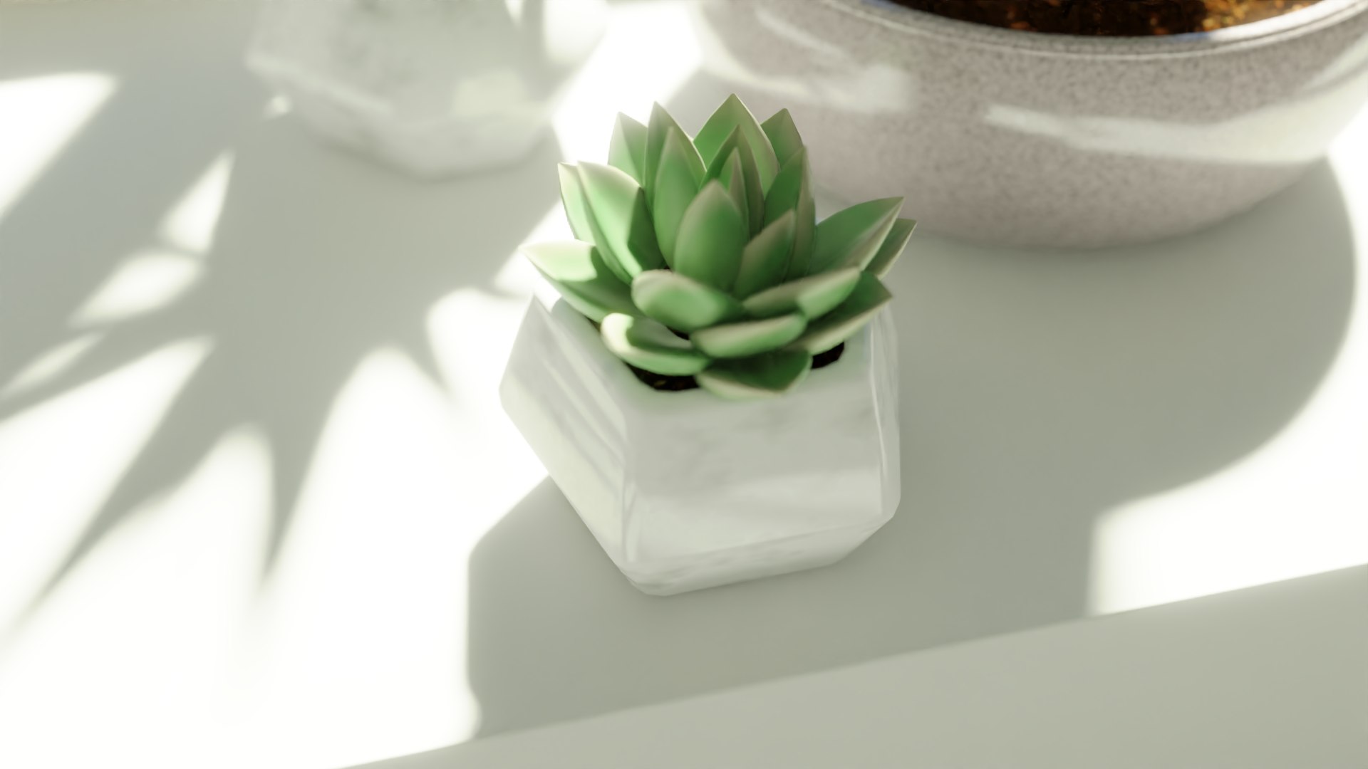 3D Succulent Plant https://p.turbosquid.com/ts-thumb/eB/NCoPrD/n0/pvplantpot2/png/1711862253/1920x1080/fit_q87/1b09c16d2b0be34b75b71aa7f40b2808062e1256/pvplantpot2.jpg