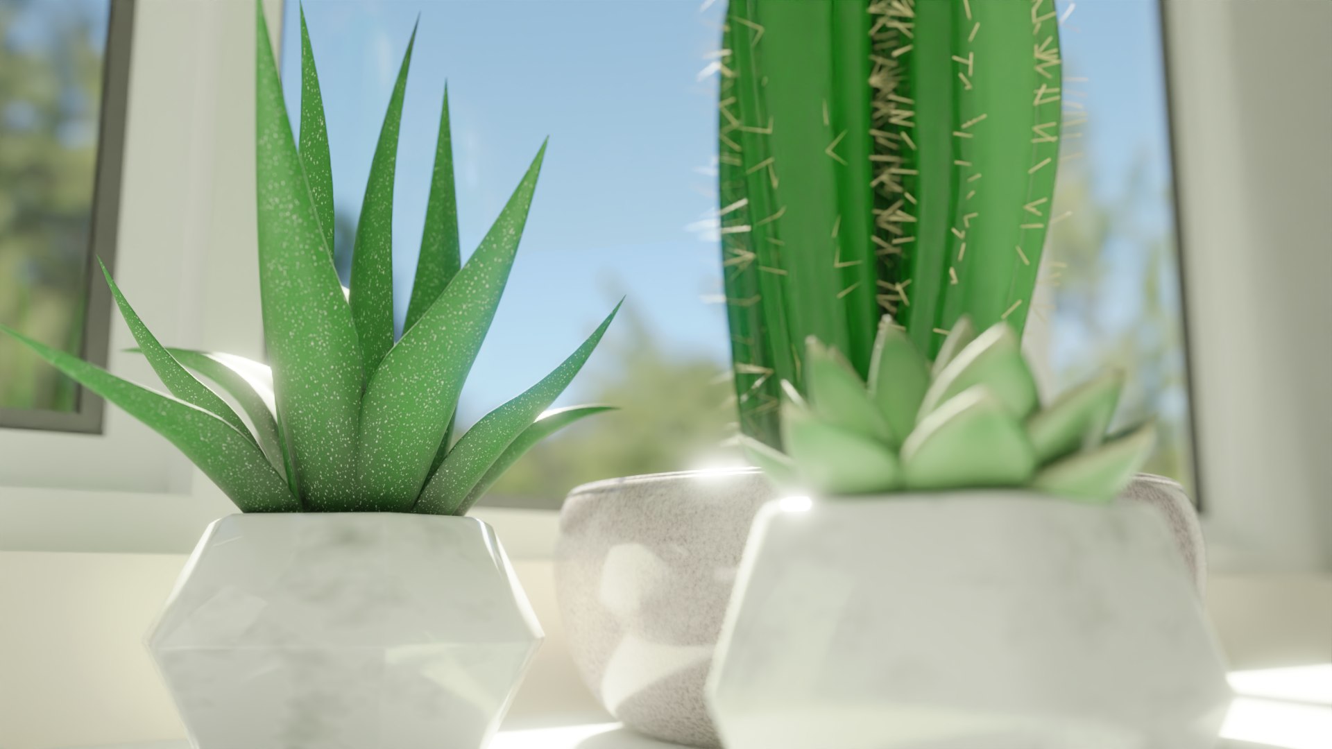 3D Succulent Plant https://p.turbosquid.com/ts-thumb/eB/NCoPrD/qu/pvplantpot5/png/1711862254/1920x1080/fit_q87/93c6bf05a675986895226866a1c8be25cdf3cf86/pvplantpot5.jpg