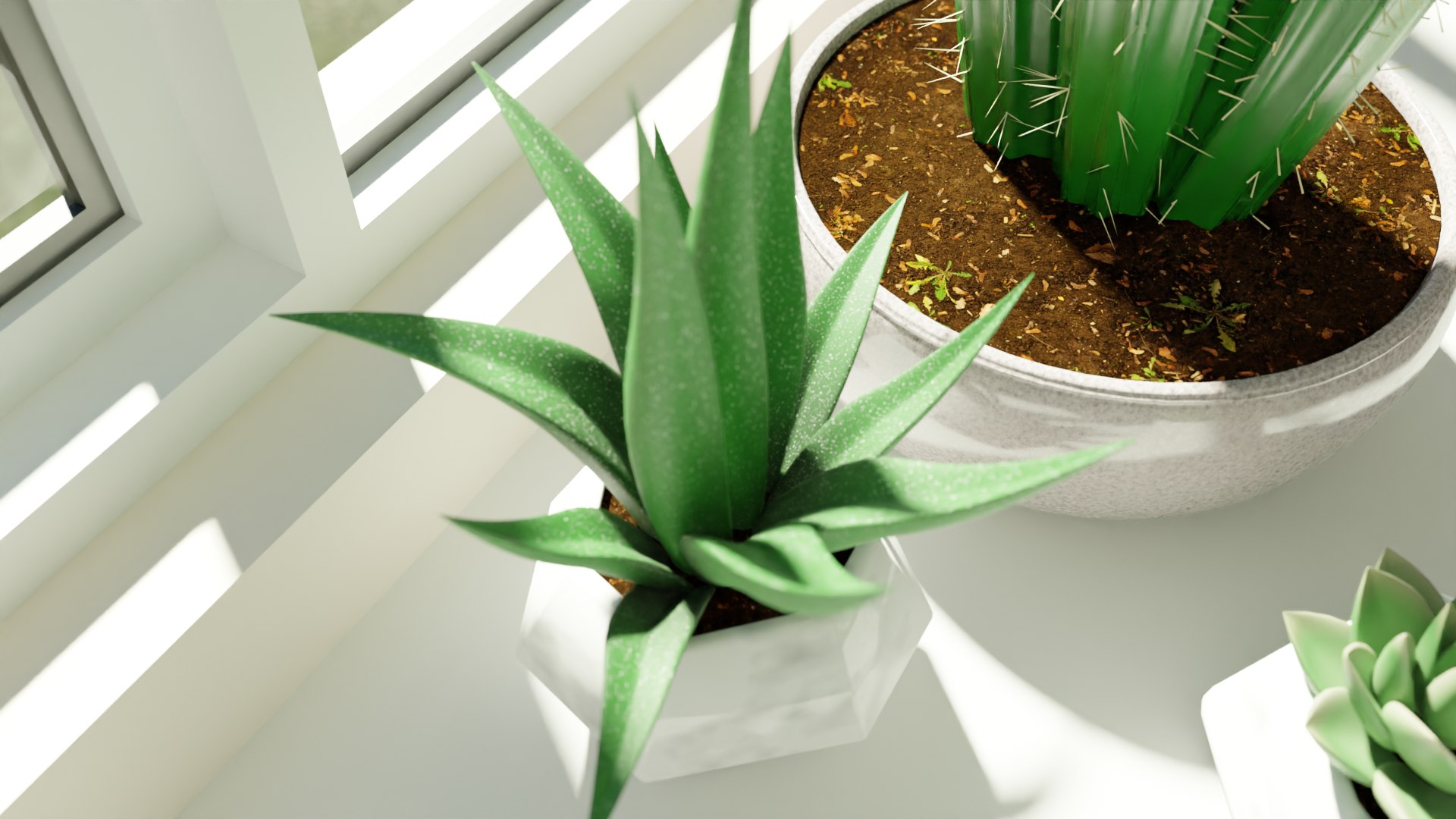 3D Succulent Plant https://p.turbosquid.com/ts-thumb/eB/NCoPrD/tu/pvplantpot4/png/1711862254/1920x1080/fit_q87/1b4469246e9d211a279f7972ab015086c084aeb8/pvplantpot4.jpg