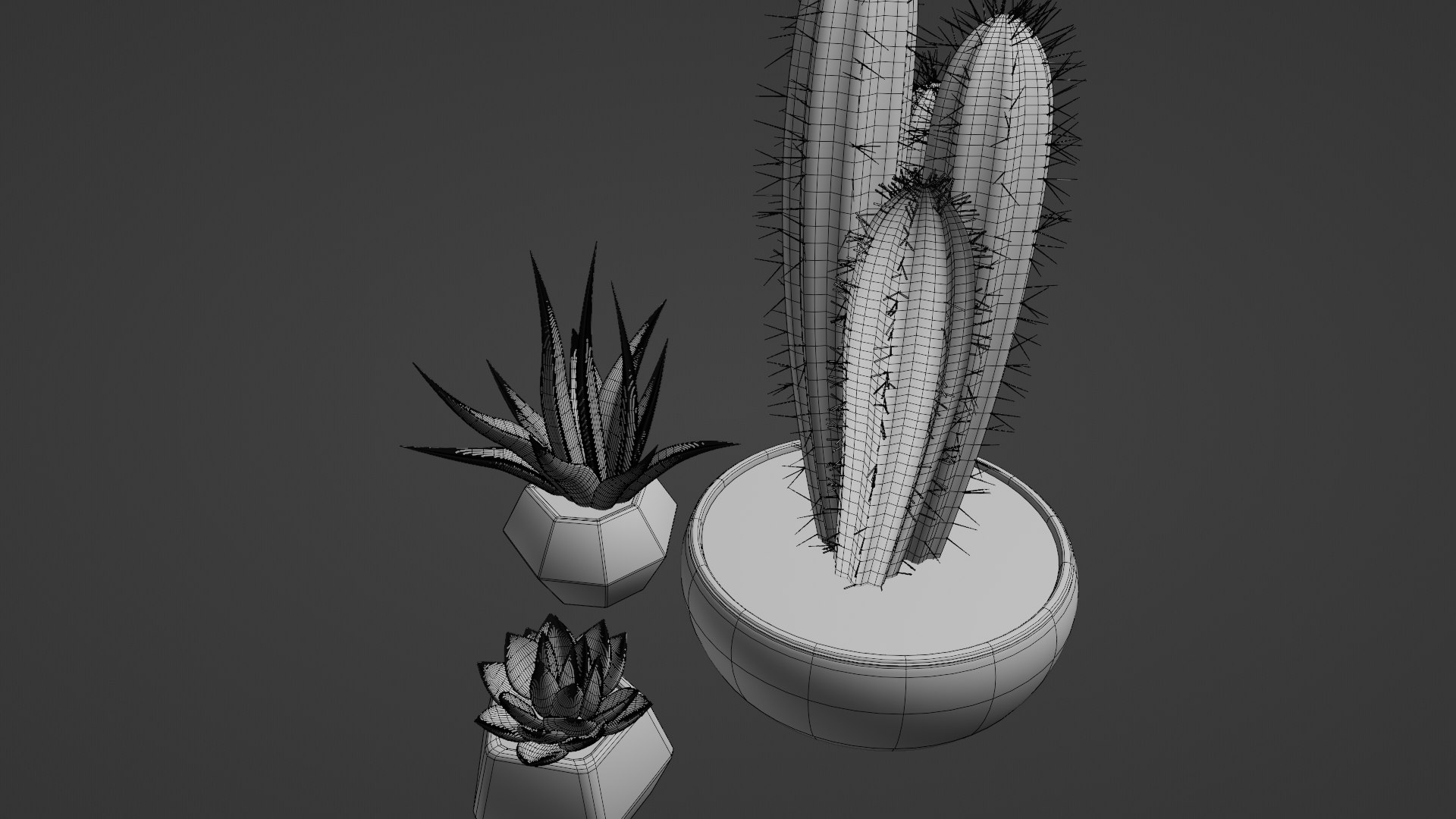 3D Succulent Plant https://p.turbosquid.com/ts-thumb/eB/NCoPrD/v6/wireframerender2/png/1711862261/1920x1080/fit_q87/1f99126621cfc8b74d25ab6b4b32660673540731/wireframerender2.jpg