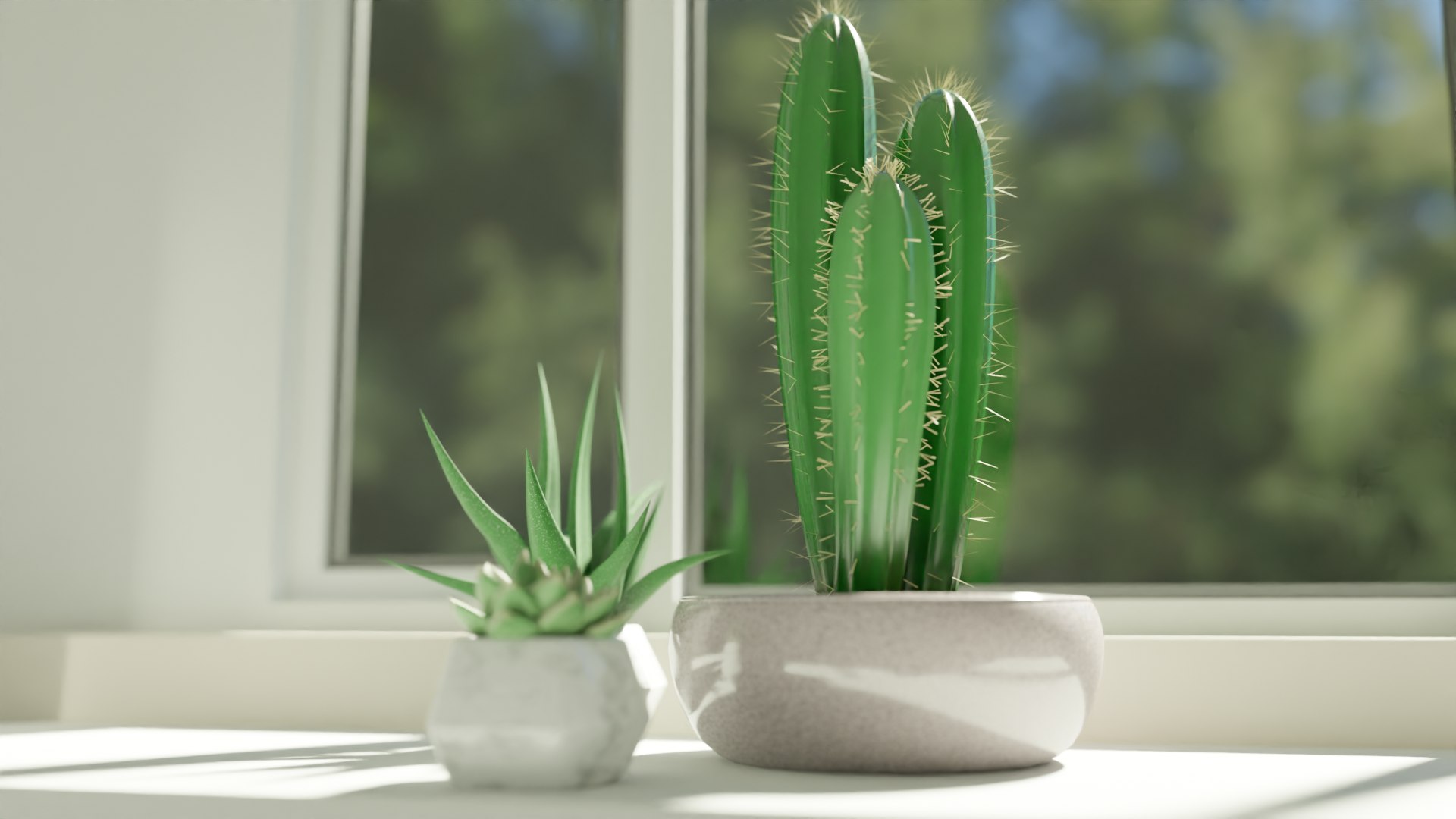 3D Succulent Plant https://p.turbosquid.com/ts-thumb/eB/NCoPrD/zZ/pvplantpot3/png/1711862254/1920x1080/fit_q87/574d96b66e88ef0533179fa7bf6eeec08483e500/pvplantpot3.jpg
