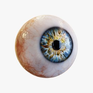 3d model of human eye