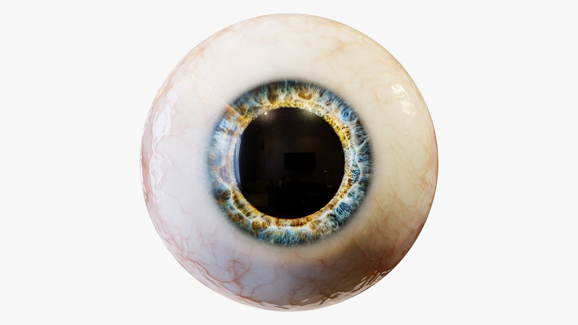 3d model of human eye https://p.turbosquid.com/ts-thumb/eB/h2uA7r/Iw/rr_13/jpg/1631642806/1920x1080/fit_q87/92a50db3d69c0def4207053dab17fcbfa7ab39cd/rr_13.jpg