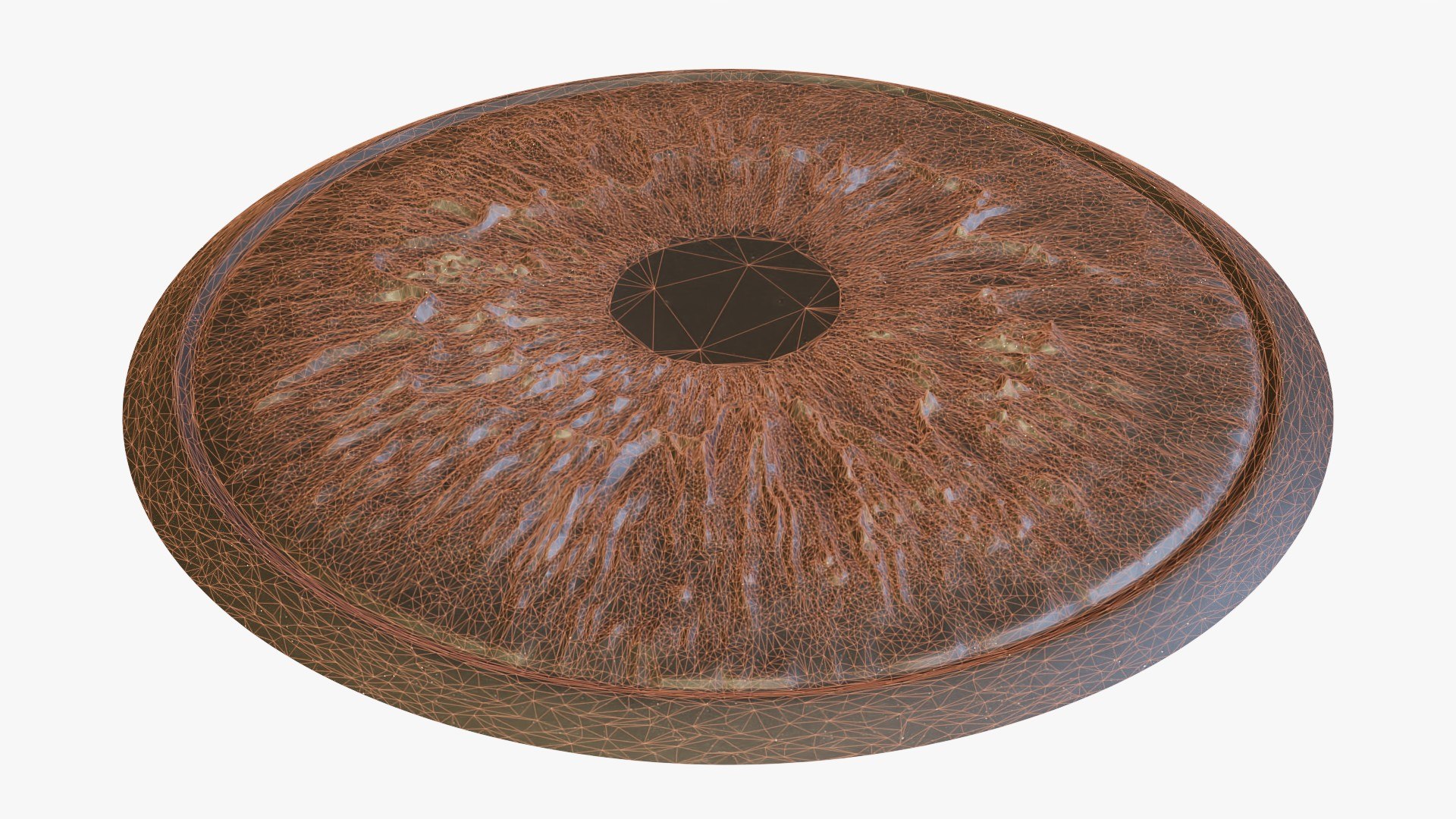 3d model of human eye https://p.turbosquid.com/ts-thumb/eB/h2uA7r/ZC/rw_07/jpg/1631642807/1920x1080/fit_q87/2934dfc22b494bed7ac9120bfc93e7686484cf65/rw_07.jpg