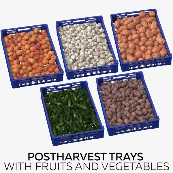 postharvest_trays_with_fruits_and_vegeta