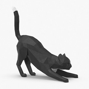 3D cat---stretching