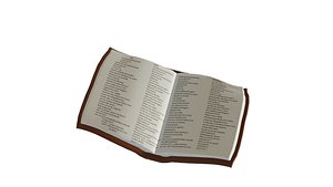 flying book animated model