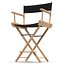 Director Chair 2