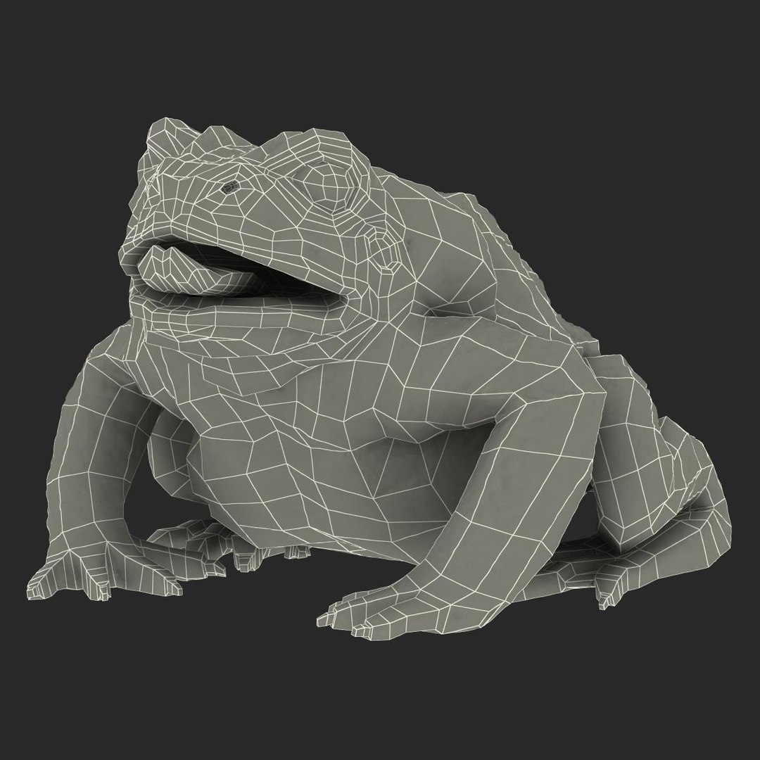 max frog cane toad https://p.turbosquid.com/ts-thumb/eC/07FPeY/84WyEDo9/frog_cane_toad_017/jpg/1334154825/1920x1080/fit_q87/fca8ce033f92f85c3d35b339fa0ab87dfc48fa26/frog_cane_toad_017.jpg