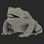 Frog Cane Toad