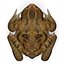 Frog Cane Toad