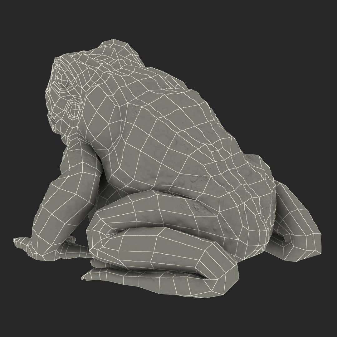 max frog cane toad https://p.turbosquid.com/ts-thumb/eC/07FPeY/LbHjIBRQ/frog_cane_toad_016/jpg/1334154825/1920x1080/fit_q87/3e0faad759463809a25eb6bd0f8c847dfb2ad949/frog_cane_toad_016.jpg