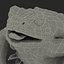 Frog Cane Toad