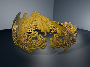 3D model crown royal
