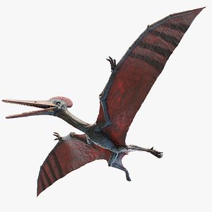 3D model pterodactyl pterodactylus
