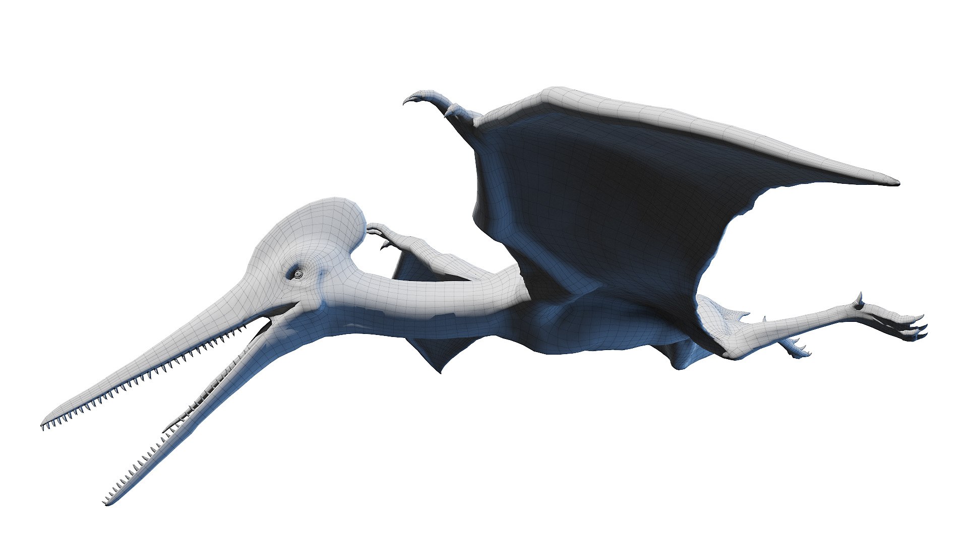 3D model pterodactyl pterodactylus https://p.turbosquid.com/ts-thumb/eC/360kIb/ARM1l8iM/pterodactyl_wire0001/jpg/1603798227/1920x1080/fit_q87/36d09bfc2839a1be40fba8423077321d16d5c06a/pterodactyl_wire0001.jpg
