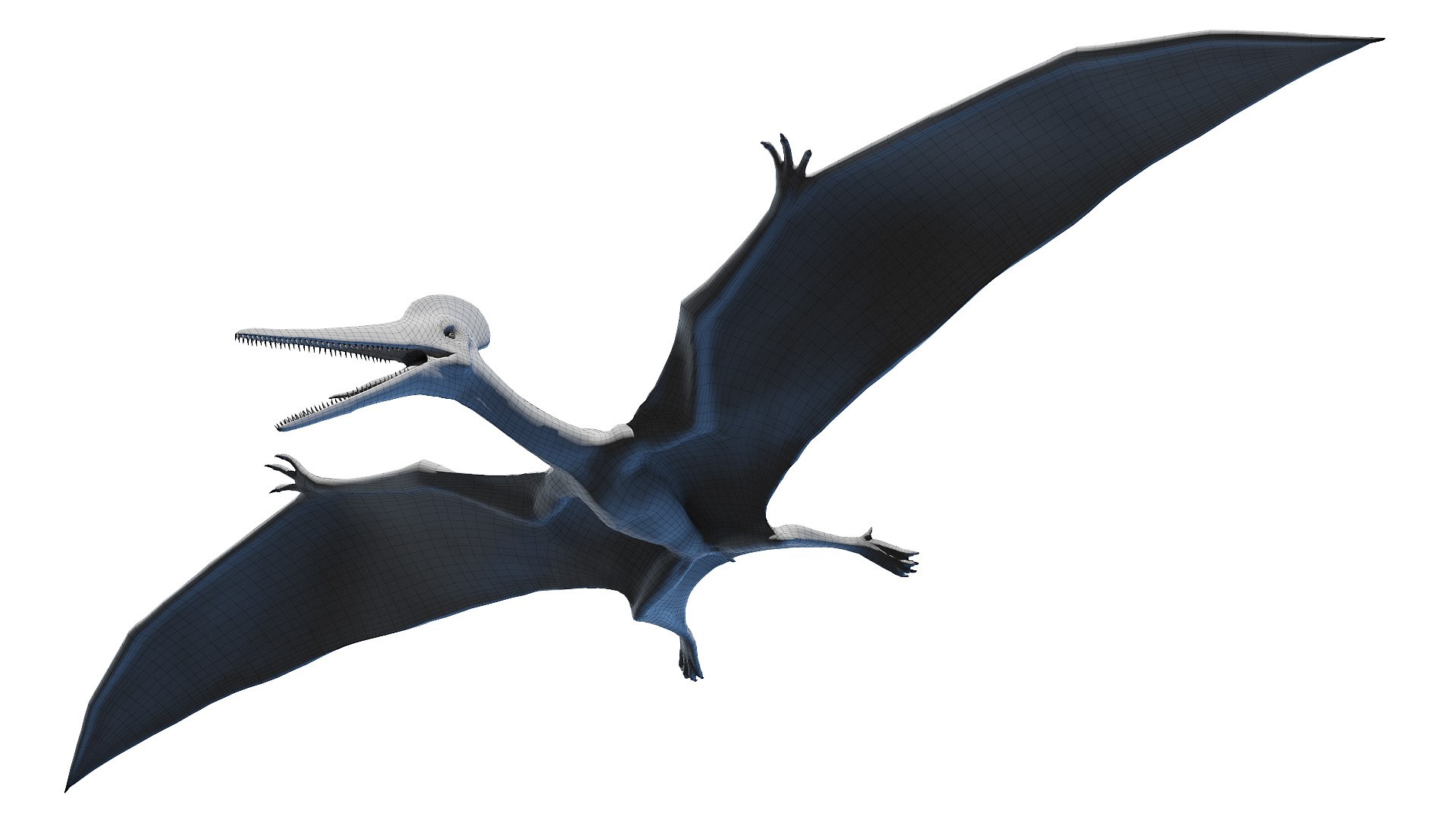 3D model pterodactyl pterodactylus https://p.turbosquid.com/ts-thumb/eC/360kIb/AVvabRDK/pterodactyl_wire0000/jpg/1603798227/1920x1080/fit_q87/4e0ed0aafc7339ff121845a505e219825028583a/pterodactyl_wire0000.jpg