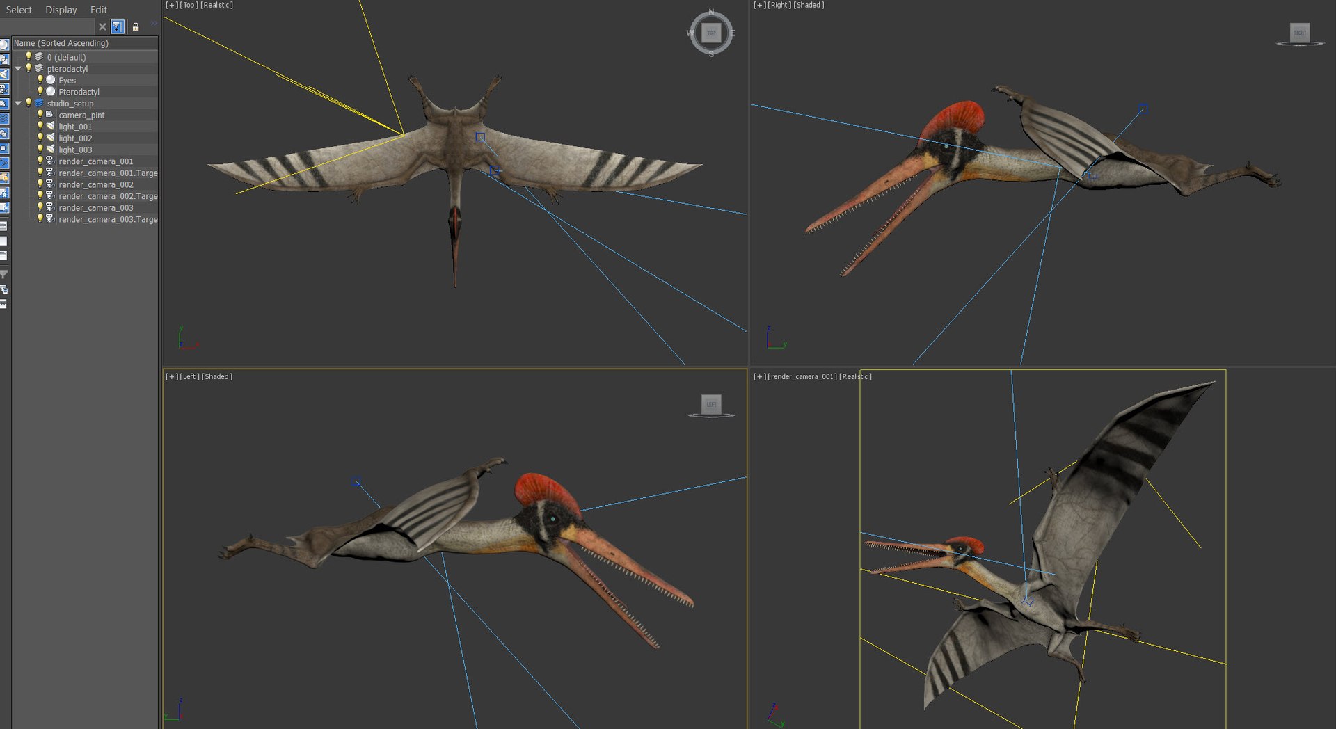 3D model pterodactyl pterodactylus https://p.turbosquid.com/ts-thumb/eC/360kIb/mAQiMHON/objects/jpg/1603811703/1920x1080/fit_q87/4a92924603ab5bb61505080dcaf9184192f23caf/objects.jpg
