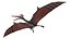 Pterodactyl