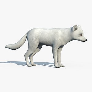 arctic fox 3d max