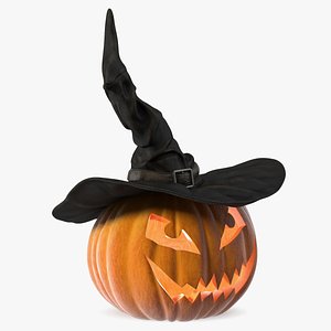 Halloween Pumpkin with Witch Hat 3D model