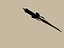 Dagger