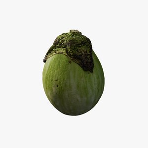 3D Anydrafts Solanum melongena 01