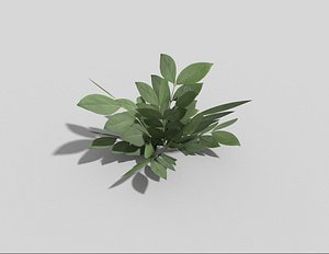3d model plant games