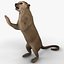 3ds max kinkajou pose 3