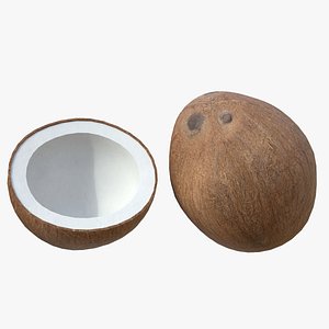 Coconut Inner 3D