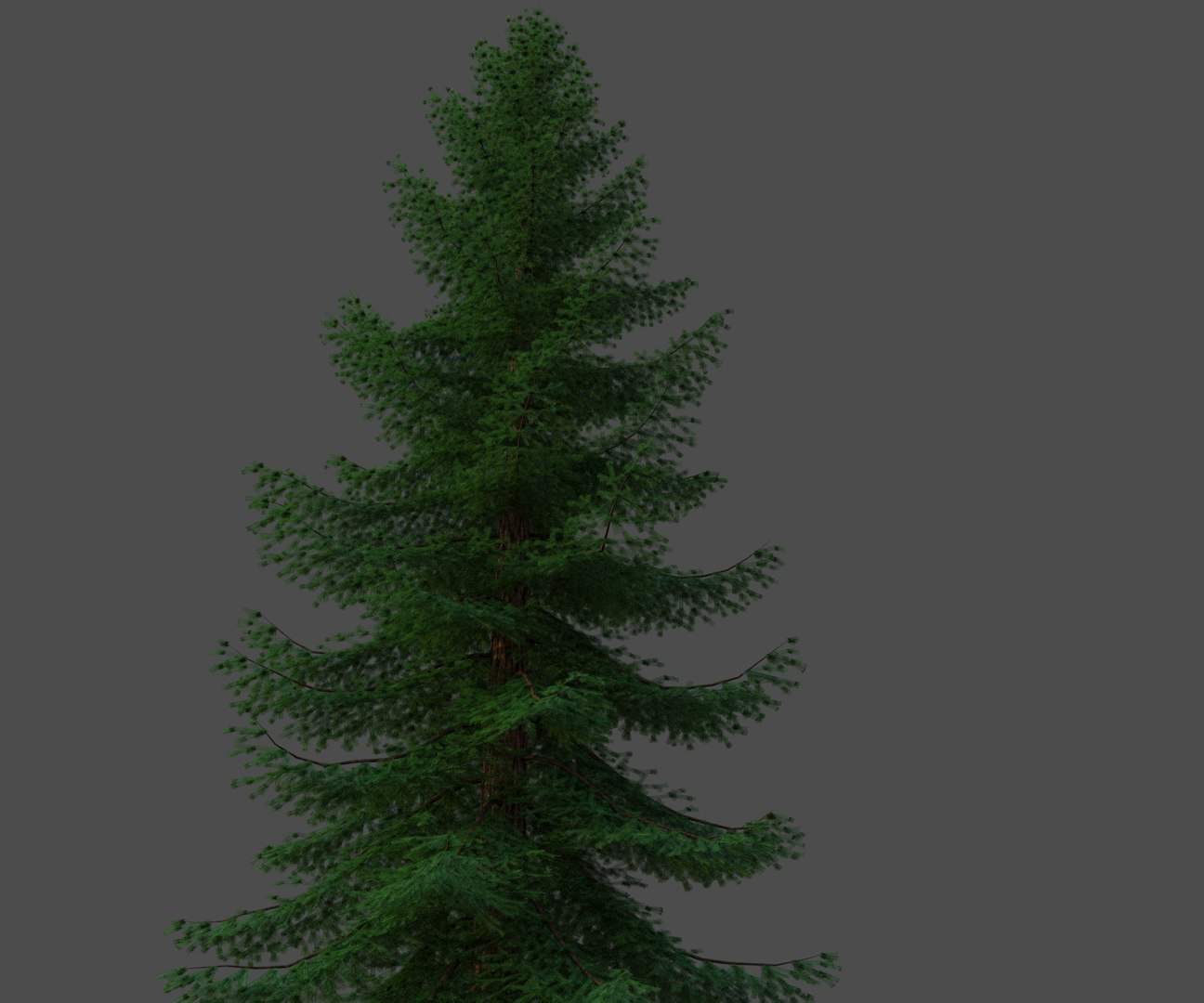 XfrogPlants Douglas Fir - Pseudotsuga Menziesii model https://p.turbosquid.com/ts-thumb/eC/oKhJwQ/1c/pseudotsuga_menziesi02/jpg/1628268256/1920x1080/fit_q87/ec0a4b2ec60918f0d6021920efd4ffe299c1fd38/pseudotsuga_menziesi02.jpg