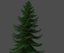 XfrogPlants Douglas Fir - Pseudotsuga Menziesii