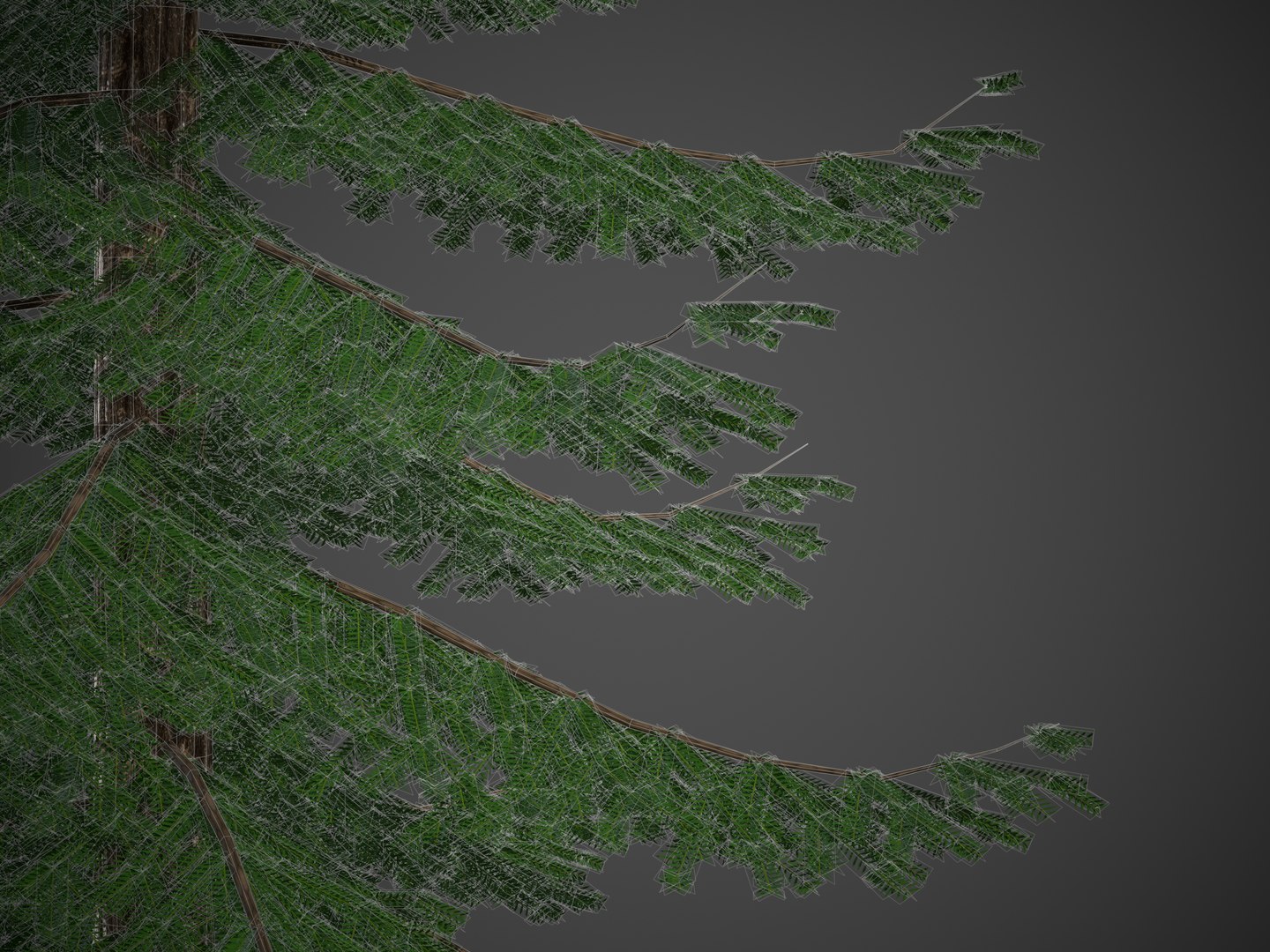 XfrogPlants Douglas Fir - Pseudotsuga Menziesii model https://p.turbosquid.com/ts-thumb/eC/oKhJwQ/6M/screenshot013/jpg/1628268268/1920x1080/fit_q87/6d8d7f1603f1b8044c6ed190b1ad13815498c154/screenshot013.jpg