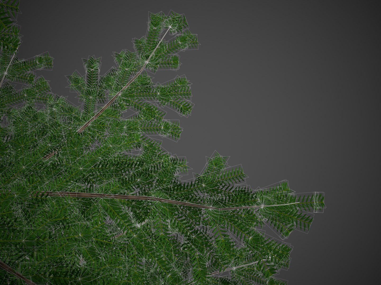 XfrogPlants Douglas Fir - Pseudotsuga Menziesii model https://p.turbosquid.com/ts-thumb/eC/oKhJwQ/ce/screenshot014/jpg/1628268267/1920x1080/fit_q87/946829aa3b94b0768bb9a7c55feacc518e6d7cb3/screenshot014.jpg