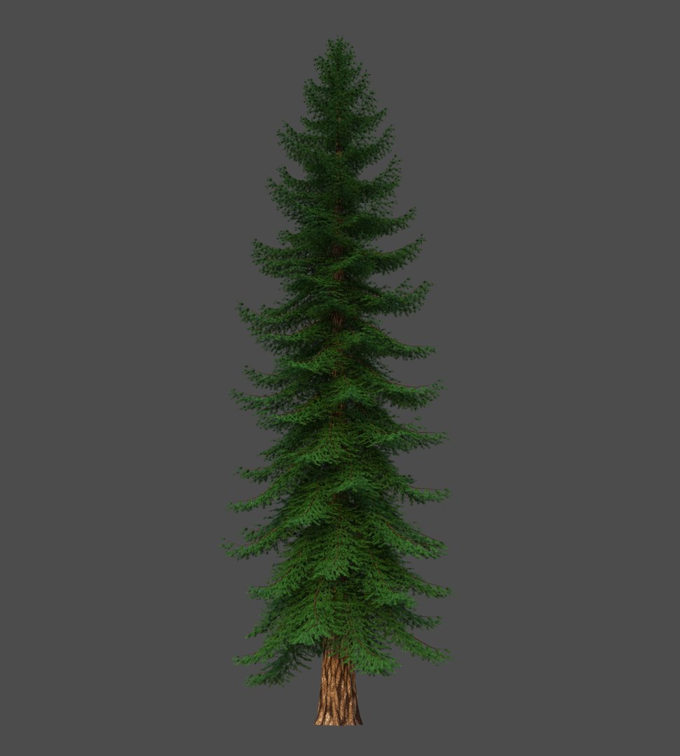 XfrogPlants Douglas Fir - Pseudotsuga Menziesii model https://p.turbosquid.com/ts-thumb/eC/oKhJwQ/zN/pseudotsuga_menziesi03/jpg/1628268254/1920x1080/fit_q87/52d2e1c4d916ee37e9d8028671bd30f561e2e0bd/pseudotsuga_menziesi03.jpg