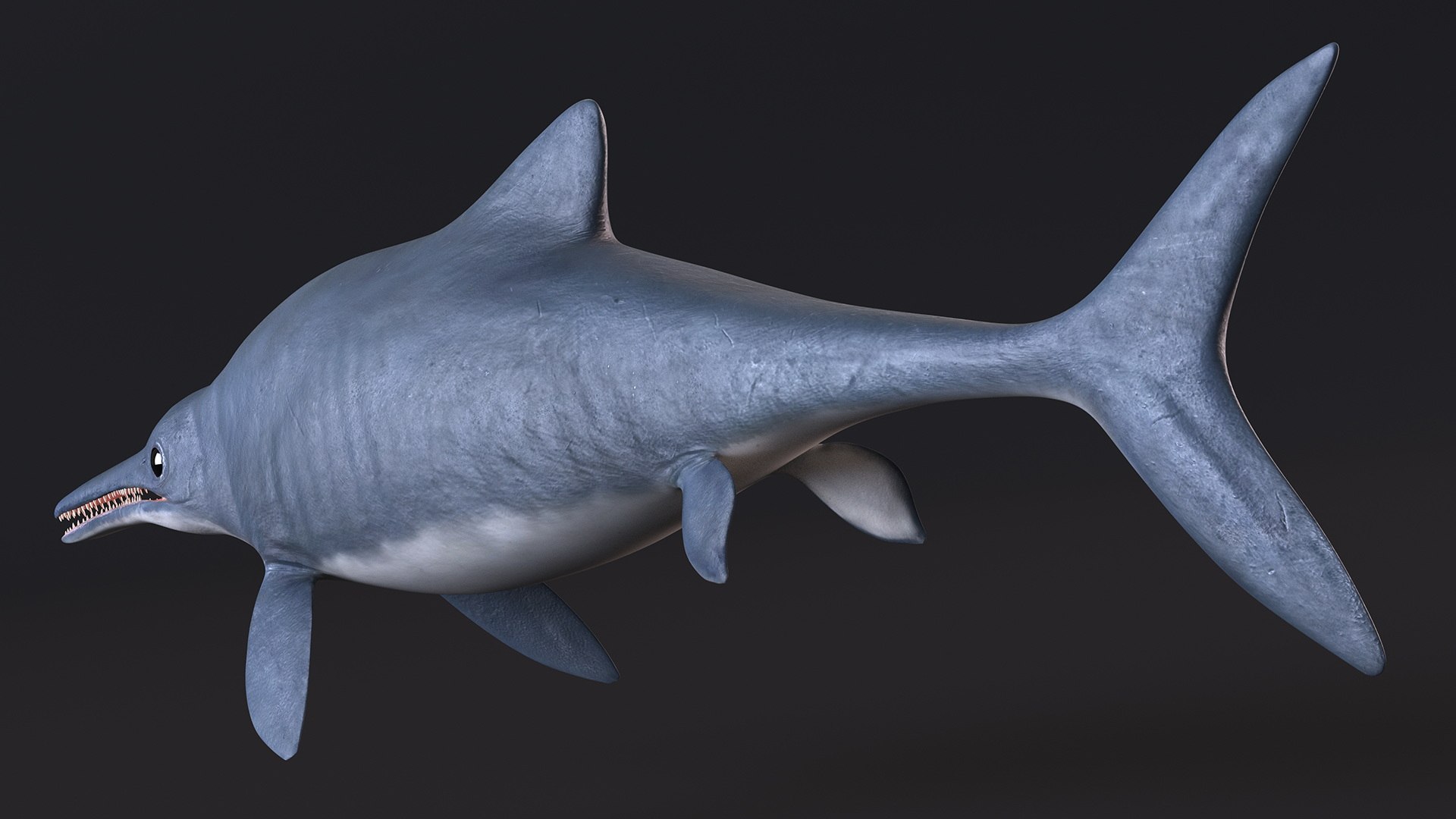 Ichthyosaur Rigged 3D - TurboSquid 2086167