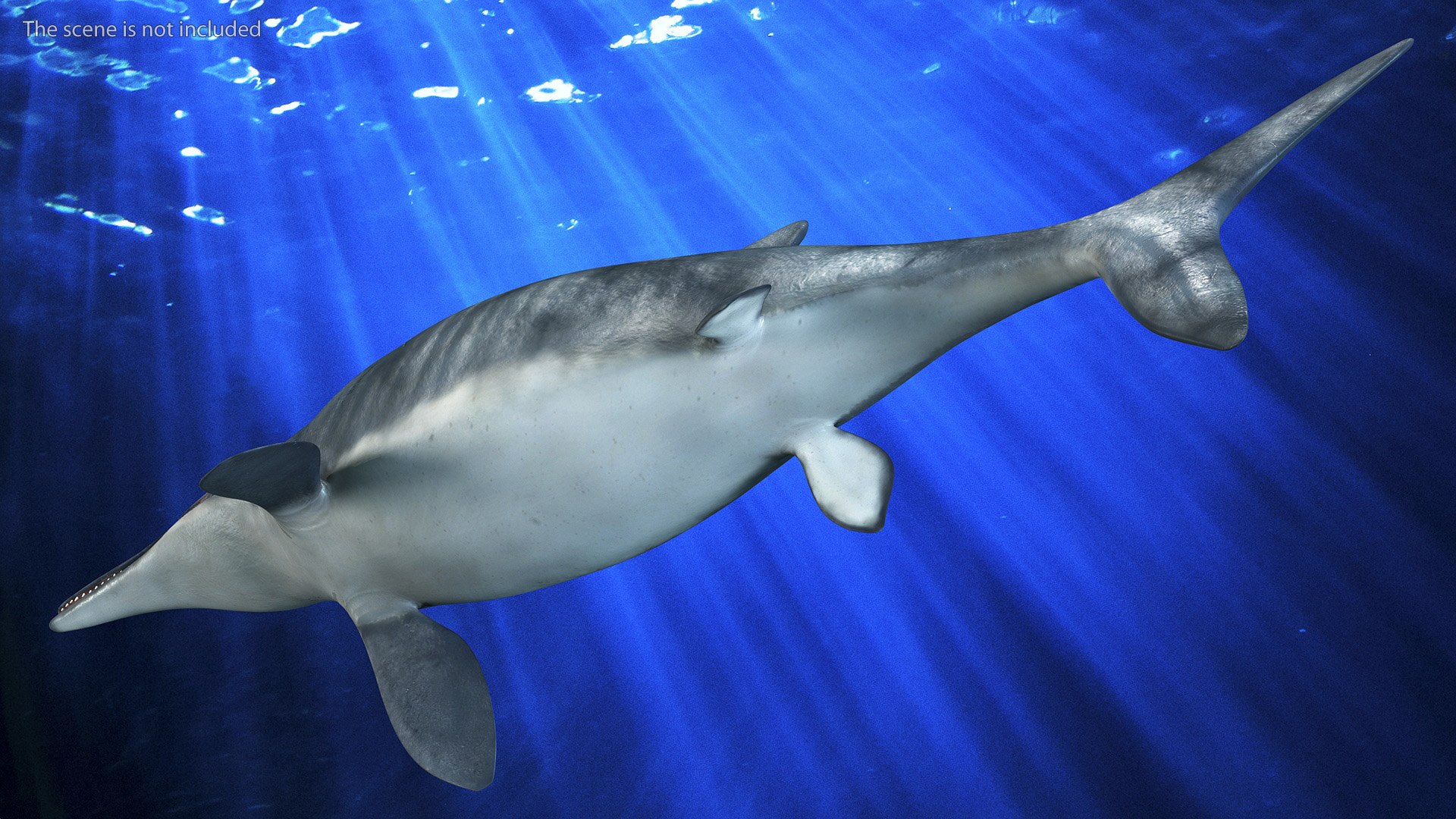 Ichthyosaur Rigged 3D - TurboSquid 2086167