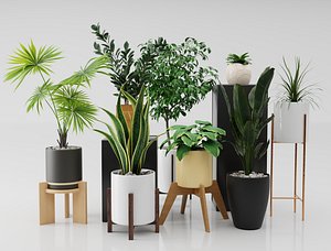 plant nature 3D model