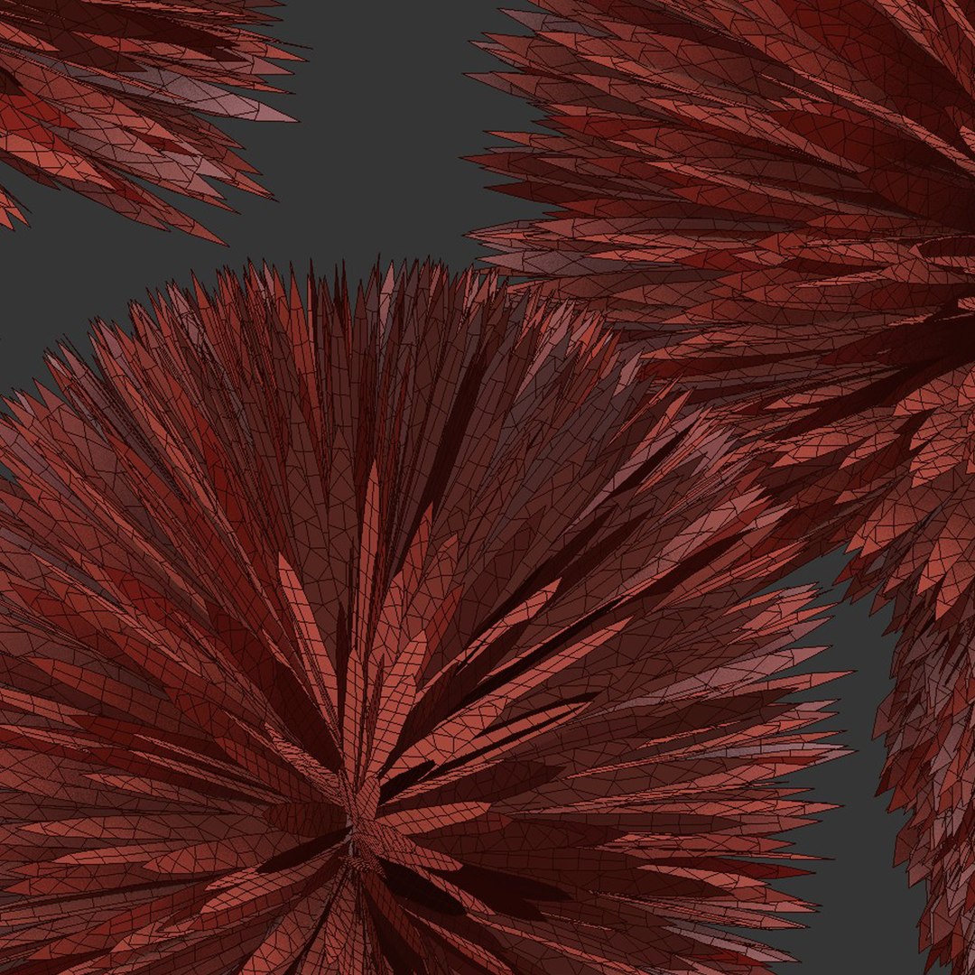 3D Yucca Rostrata Plants 431 3D Model model https://p.turbosquid.com/ts-thumb/eC/zaN1wJ/5e/7/jpg/1780916946/1920x1080/fit_q87/507e2c04f0a9b32eedf7f93490982cbe0ffc8758/7.jpg