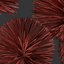 Yucca Rostrata Plants 431 3D Model