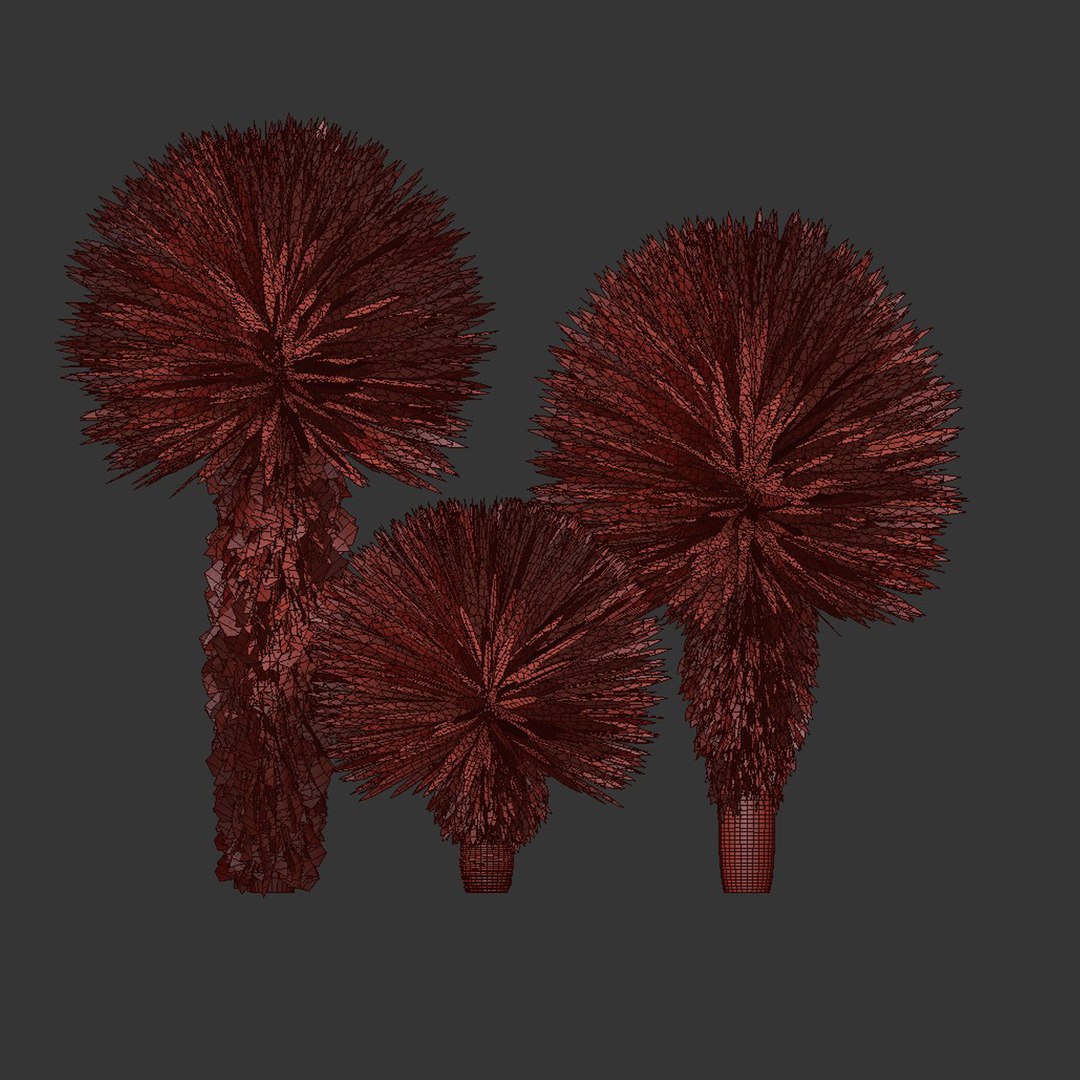 3D Yucca Rostrata Plants 431 3D Model model https://p.turbosquid.com/ts-thumb/eC/zaN1wJ/y4/6/jpg/1780916945/1920x1080/fit_q87/679a59c4337036b3e5c71e64f0f737aded54d694/6.jpg