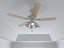 Ceiling Fan 3