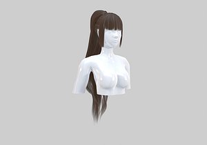 Wavy Ponytail Hairstyle 3D