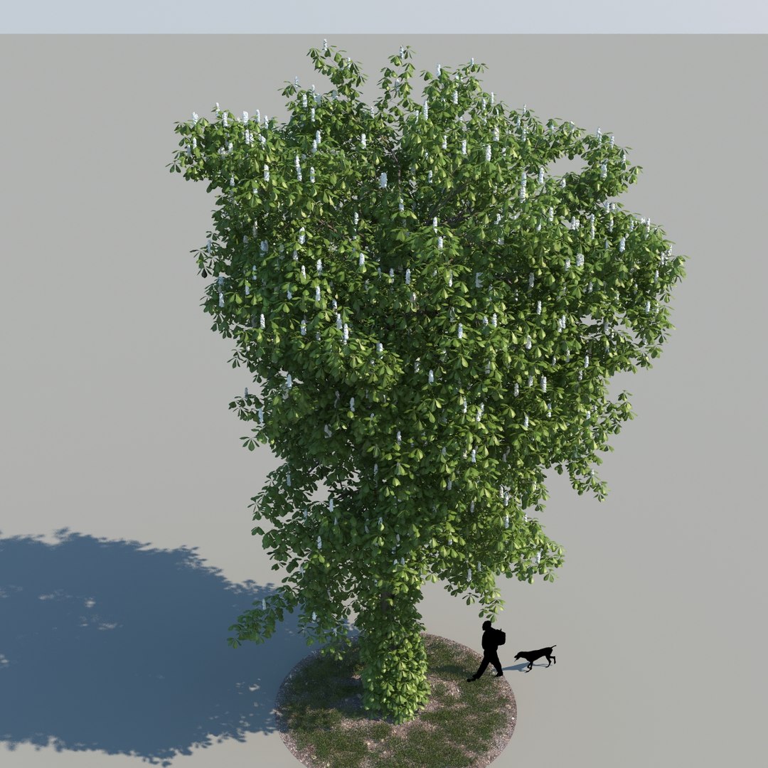 realistic chestnut tree leaf 3d model