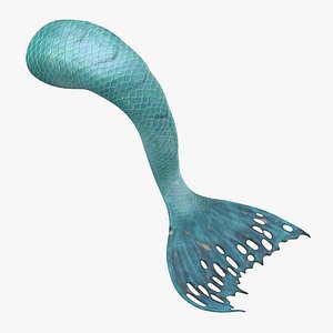 3D model mermaid tail 02 laying