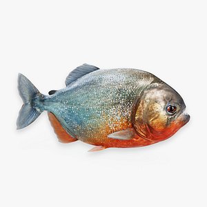 Piranha